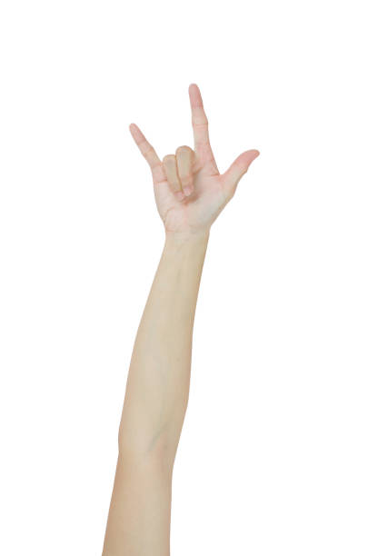 istock Hands sign symbol, good, love isolated on white background 863504542