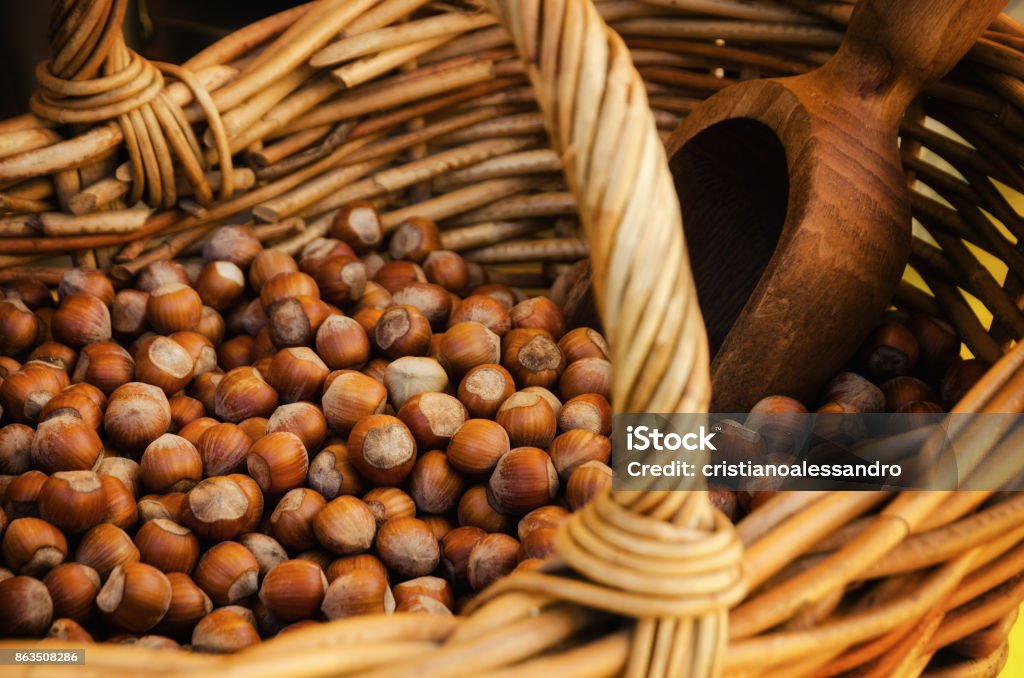 "Nocciola Piemonte Igp", also known as "Tonda Gentile di Langa", hazelnut variety produced in piedmont (italy) "Nocciola Piemonte Igp", also known as "Tonda Gentile di Langa", hazelnut variety produced in piedmont (italy), with wicker basket and scoop Hazelnut Stock Photo