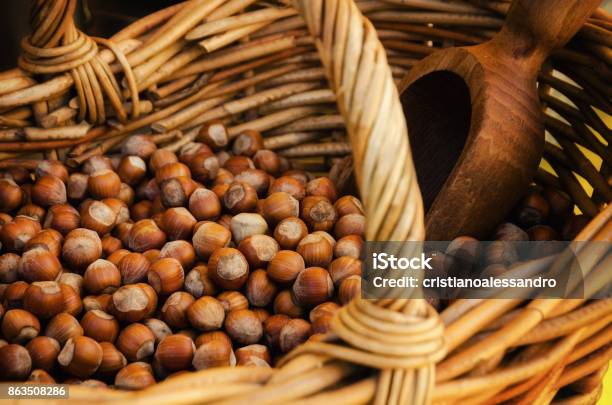Nocciola Piemonte Igp Also Known As Tonda Gentile Di Langa Hazelnut Variety Produced In Piedmont Stock Photo - Download Image Now