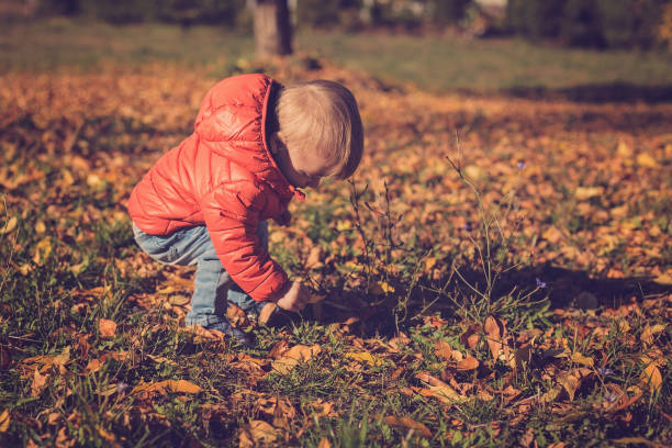 istock Baby boy playing in autumn park 863508420