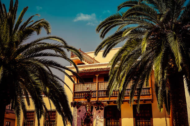 istock Traditional Spanish Building and Palm Trees 863511844