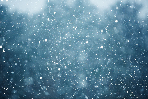 Winter scene - snowfall on the blurred background