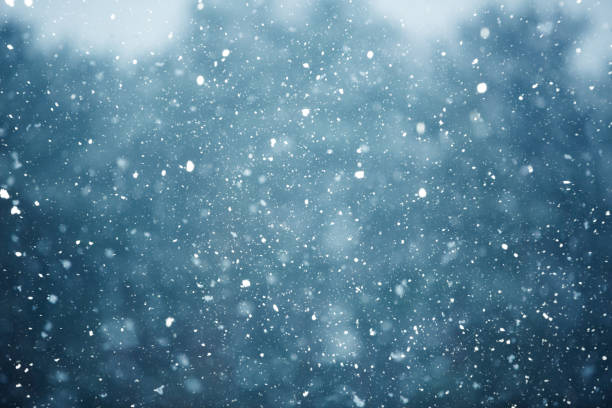 Winter scene - snowfall on the blurred background stock photo
