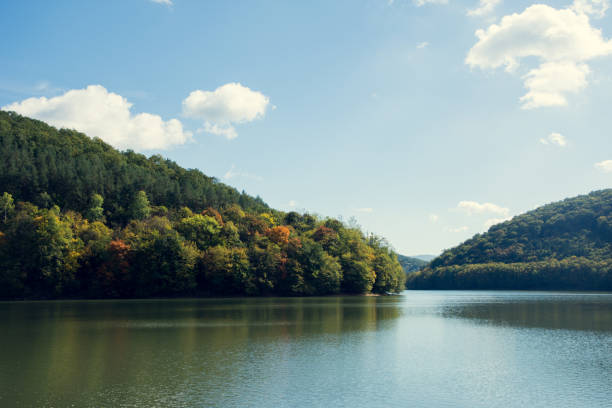 istock autumn forest and lake 863524416