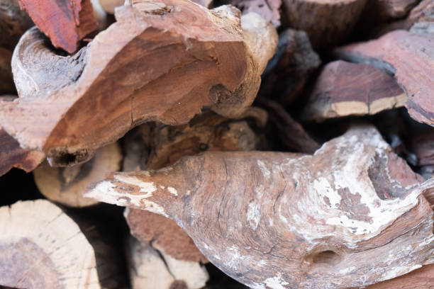 istock Cut up timber piled for use as firewood. 863524974