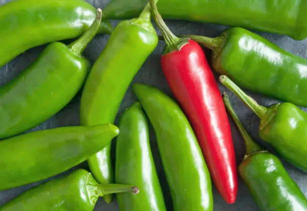 Red pepper amongst many green chillis