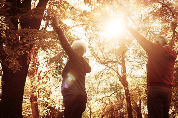 istock Satisfied senior couple in park with open arms. 863536390