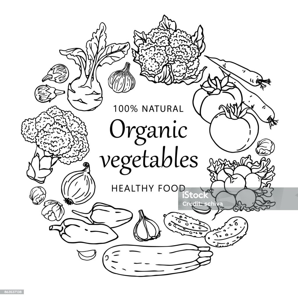 Organic vegetables illustration template isolated on white background. Concept with healthy food Organic vegetables doodle illustration template. Sketchy vector black and white concepts with healthy food for graphic design, web banner and printed materials. Vegetable stock vector