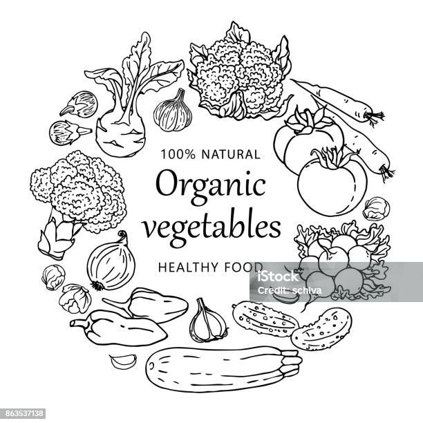 Organic Vegetables Illustration Template Isolated On White Background Concept With Healthy Food Stock Illustration - Download Image Now