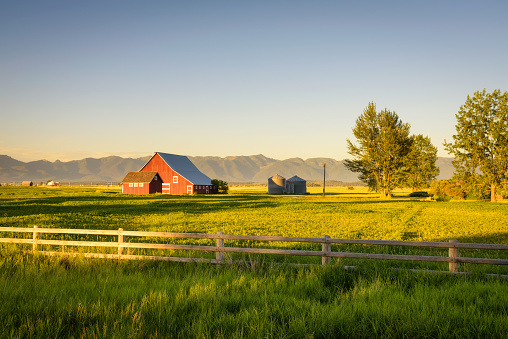 Atardecer de verano con un granero rojo en la Montana rural y montañas rocosas photo