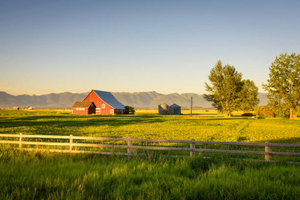 pôr do sol de verão com um celeiro vermelho em montana rural e montanhas rochosas - celeiros - fotografias e filmes do acervo