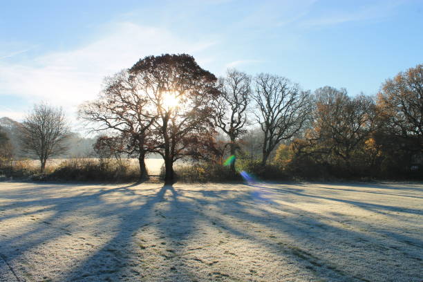 istock Autumn in Hampstead Heath, London 863552856
