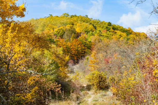 istock Beautiful autumn rural scene 863558640