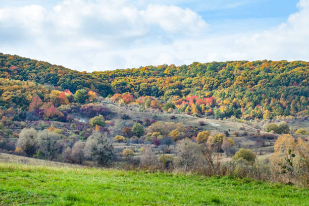 istock Beautiful autumn rural scene 863558896