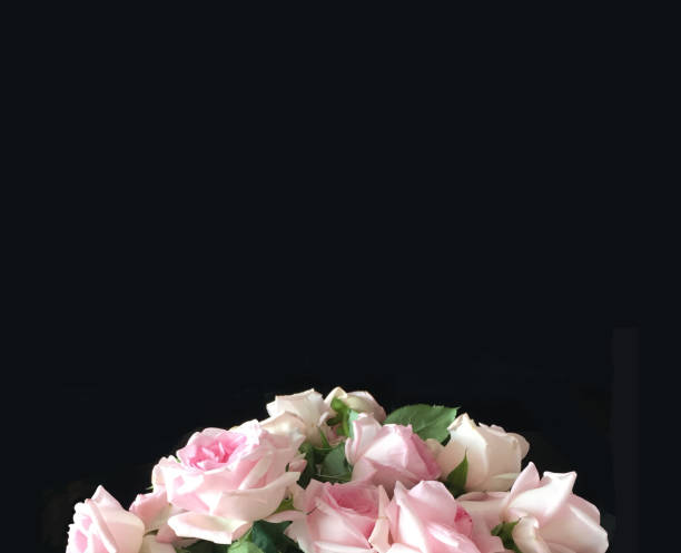 istock Black background with roses bouquet at the bottom 863568608