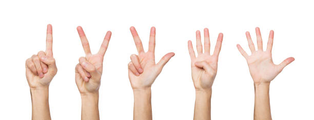 istock Set of white man's hands. Male hand show figures, counting 863569268