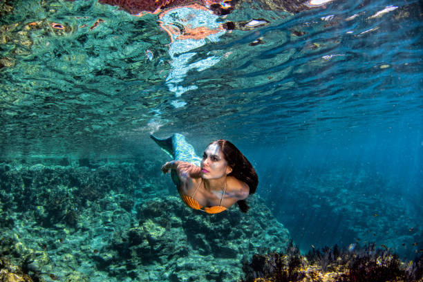 istock Mermaid swimming underwater in the deep blue sea 863578202