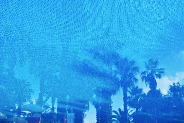 Small elements blue mosaic on the bottom of the pool pattern. Reflections of palm trees on the water surface. Travel background. Copy space.