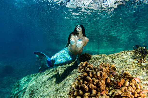 istock Mermaid swimming underwater in the deep blue sea 863578558