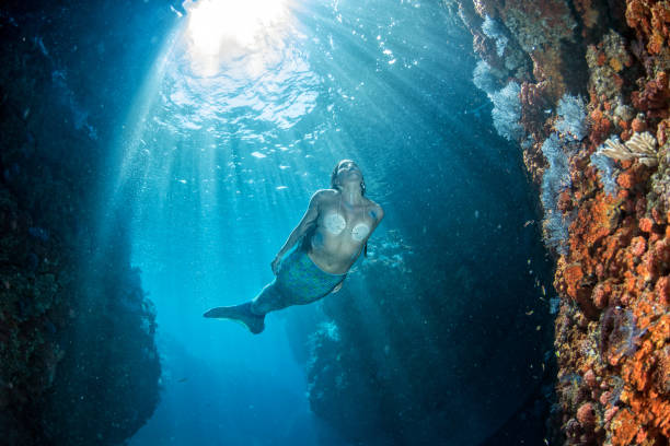 istock Mermaid swimming underwater in the deep blue sea 863583160