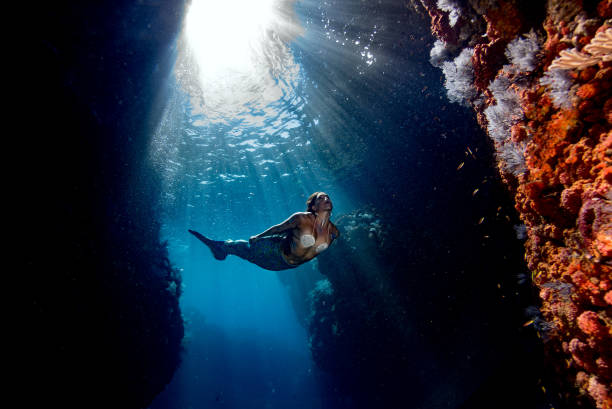 istock Mermaid swimming underwater in the deep blue sea 863583192