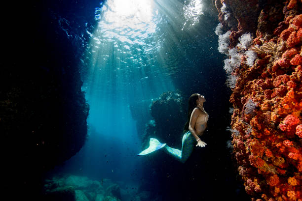istock Mermaid swimming underwater in the deep blue sea 863583216
