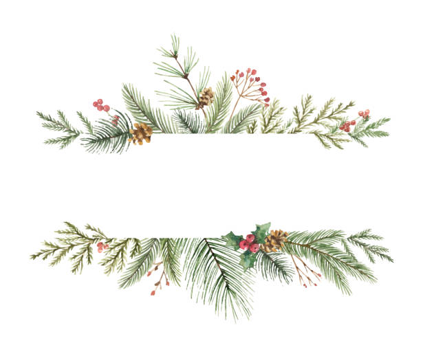 Watercolor vector Christmas banner with fir branches and place for text. Watercolor vector Christmas banner with fir branches and place for text. Illustration for greeting cards and invitations isolated on white background. pine tree illustrations stock illustrations