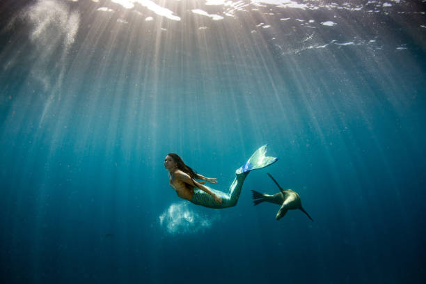 Mermaid swimming underwater in the deep blue sea with a seal stock photo
