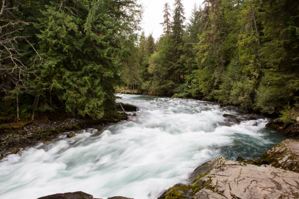 istock Cheakamus River Squamish Whistler 863584030