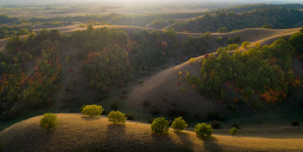 Aeial image of hills at sunset Aerial image of sand dunes with grass and colorful trees at sunset in autumn autumn field tree mountain stock pictures, royalty-free photos & images