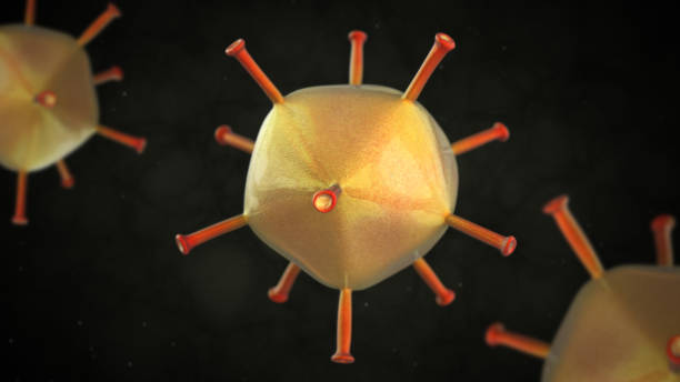 3D illustration of adenovirus  virus stock photo