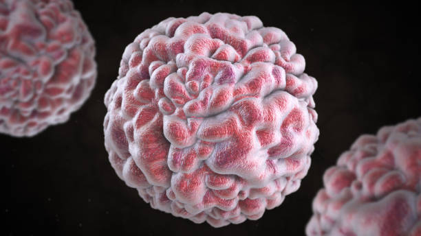 3D illustration of norovirus  virus stock photo