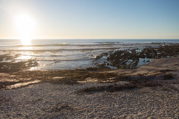 istock Sunset on Seapoint Beach in Cape Town 863599702