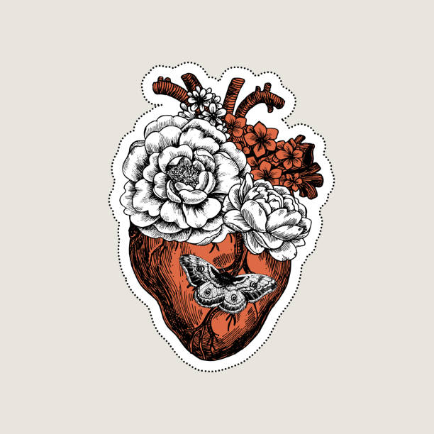 Tattoo anatomy vintage illustration. Floral anatomical heart. Vector illustration Vector illustration female rib cage stock illustrations