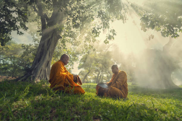 istock Two monks meditation under the trees with sun ray, Buddha religion concept 863607802