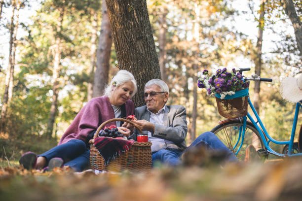 istock Happy mature couple having picnic 863609338