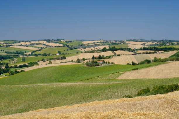 istock Summer landscape in Marches (Italy) near Ostra 863613534