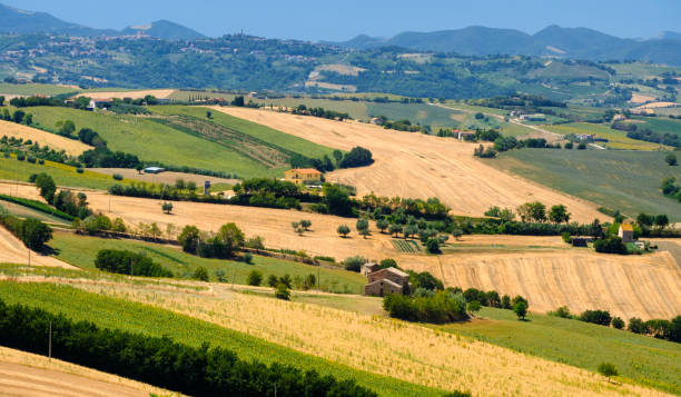 istock Summer landscape in Marches (Italy) near Ostra 863613632