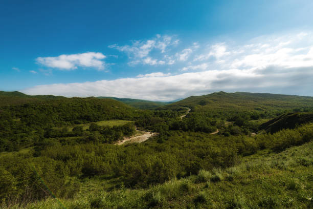 Green mountains landscape