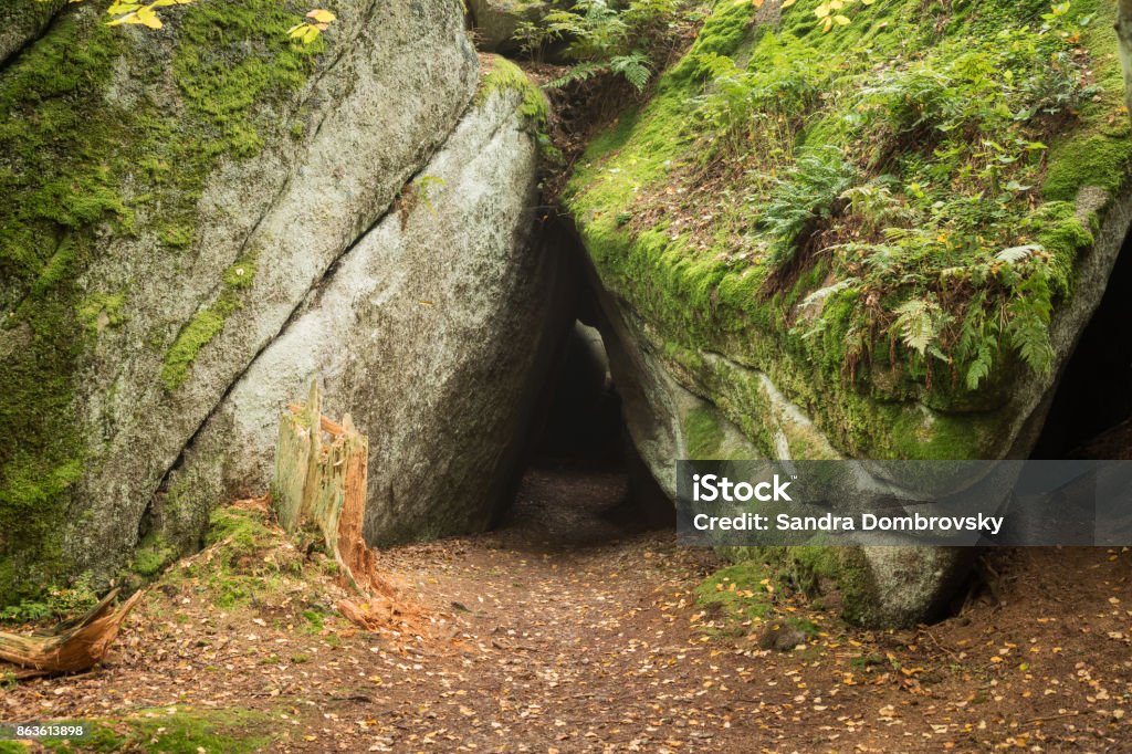 Huge rocks in the forest Atmosphere Stock Photo