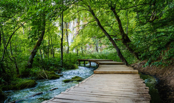 istock Plitvice Lakes National Park 863621522