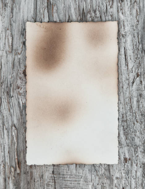 istock Vintage background with old paper on wood 863625368