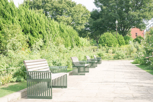 istock Scenery with bench / Minato-no-Mieru-Oka Park 863655514