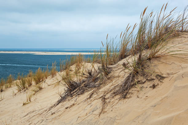 istock Grass-covered slope of the sand dune 863661238