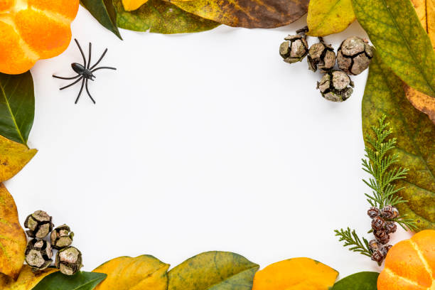 Halloween background with leaves and pumpkins. stock photo