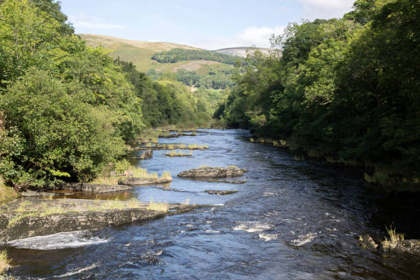 river dee; llangollen; galles - dee river river denbighshire wales foto e immagini stock