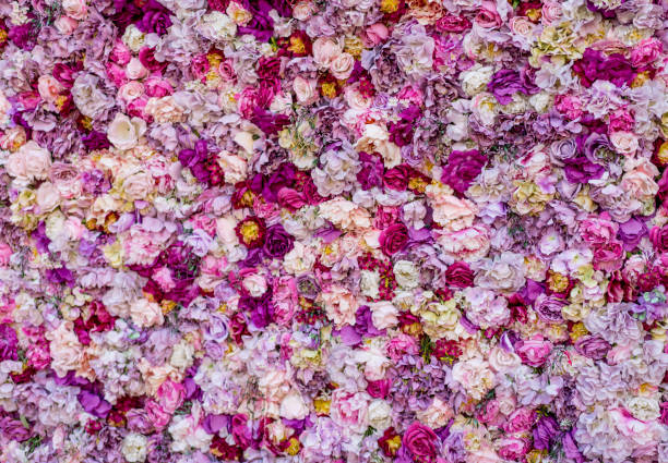 Carpet of beautiful flowers