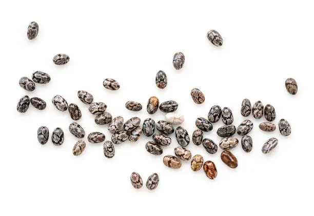 Extreme macro close-up of chia seeds against a white background with the fine details magnified.