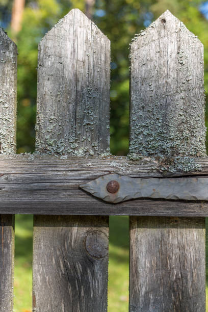 istock Part Of Old Fence Coverd By Moss 863674770