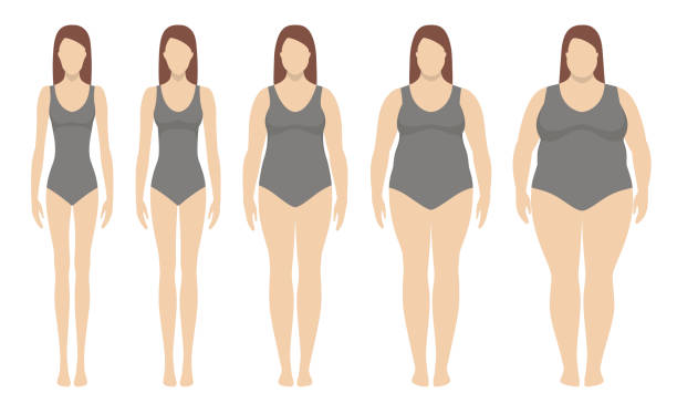 иллюстрация вектора индекса массы тела от недостаточного веса до крайне ожирения. силуэты женщин с разной степенью ожирения. - emaciated weight scale dieting overweight stock illustrations